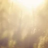 煦陽靈氣