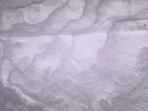 血脈編碼