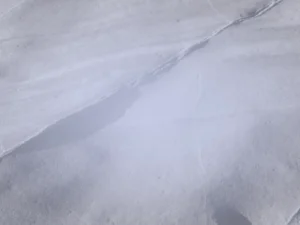 志業編碼