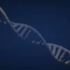 深色背景上的金色 DNA 雙螺旋
